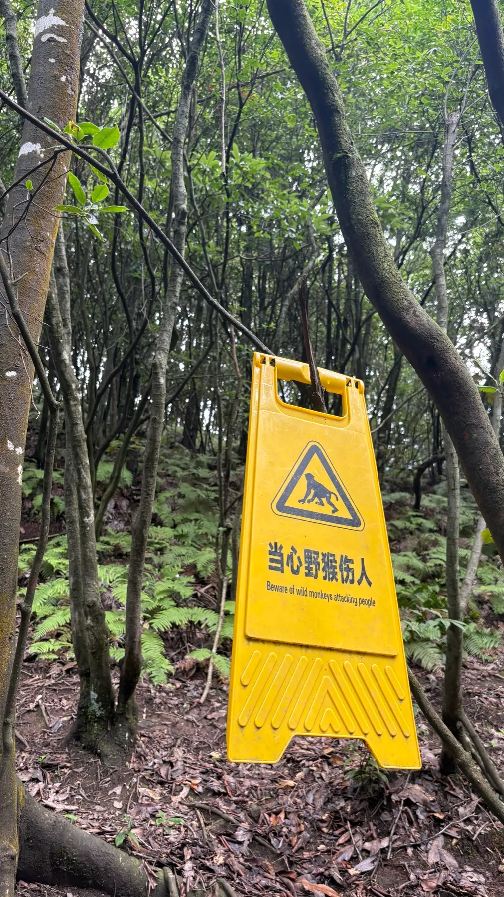 China