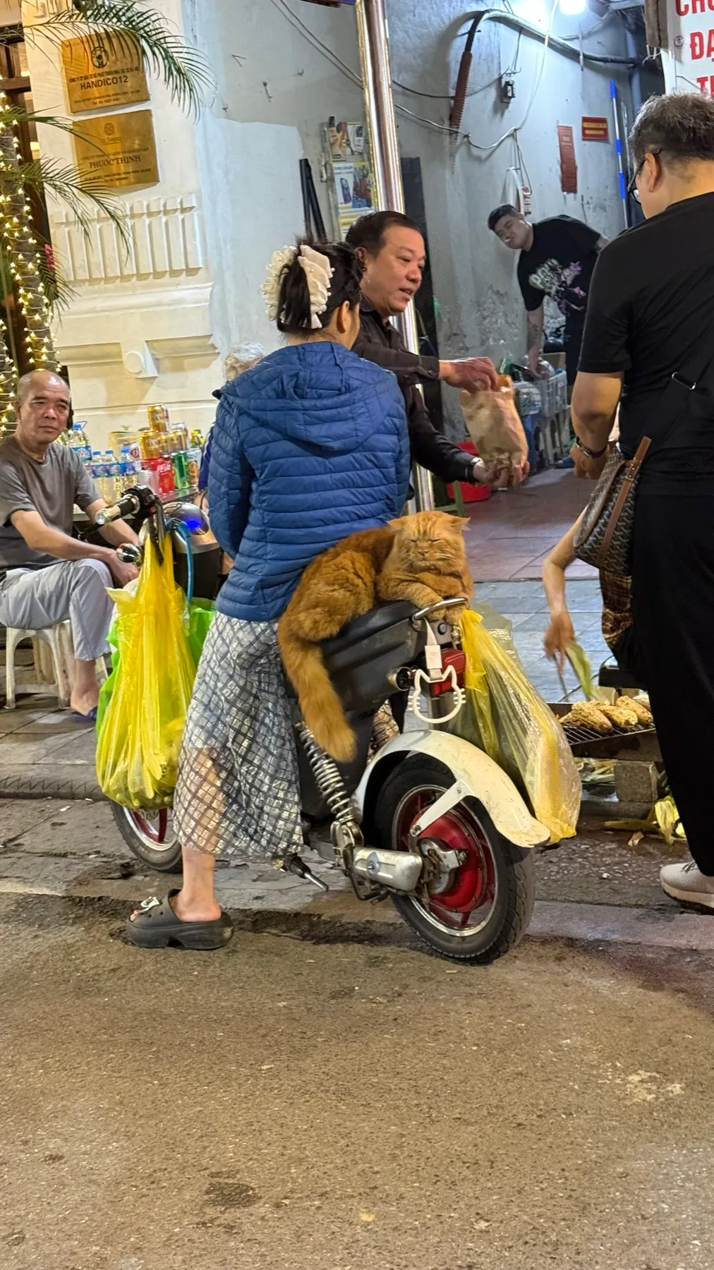 Vietnam